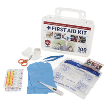 Quebec Daycare Kit -In accordance with Quebec CPE Regulation - ECOMEDIX